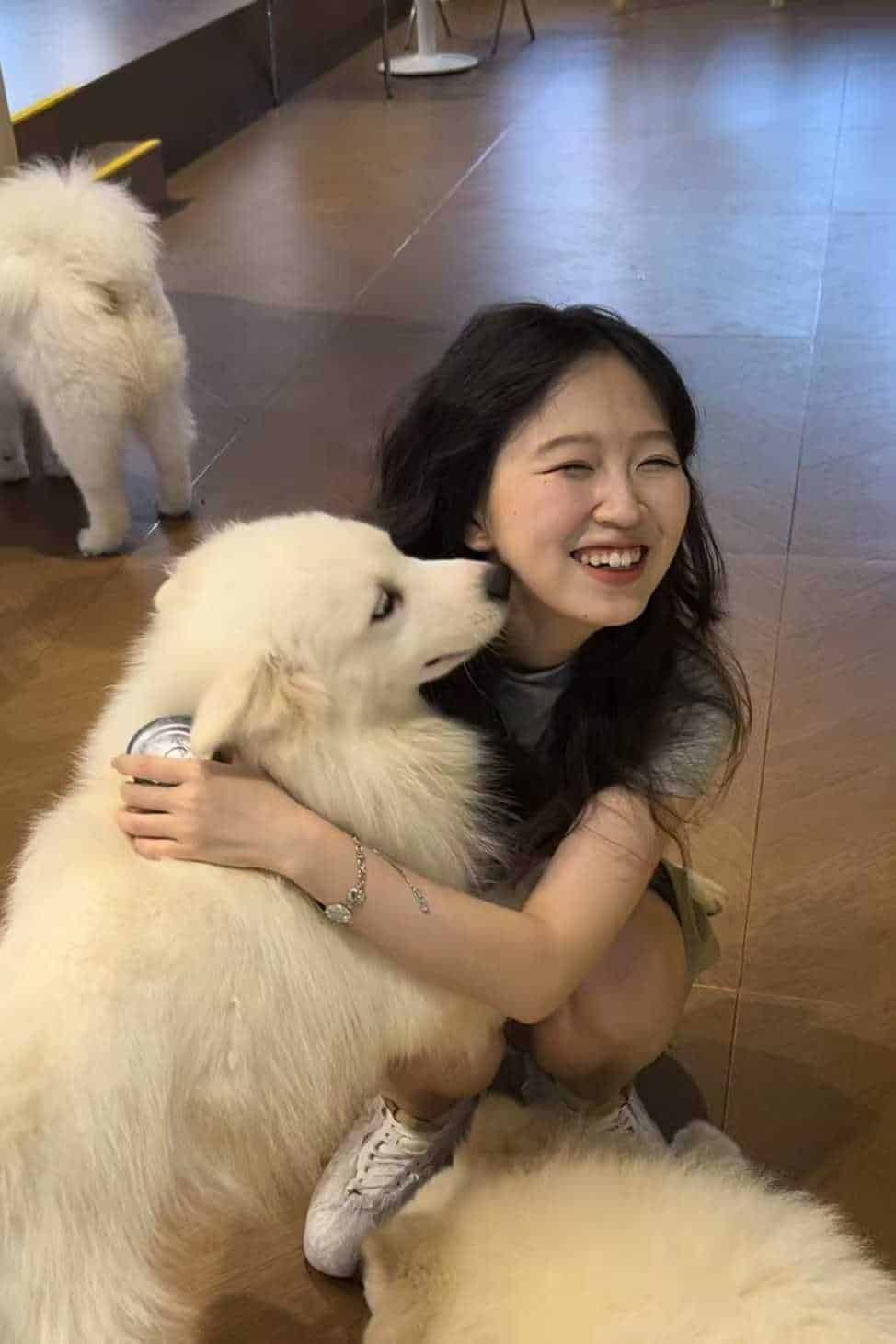 生活照：与白色狗狗互动
