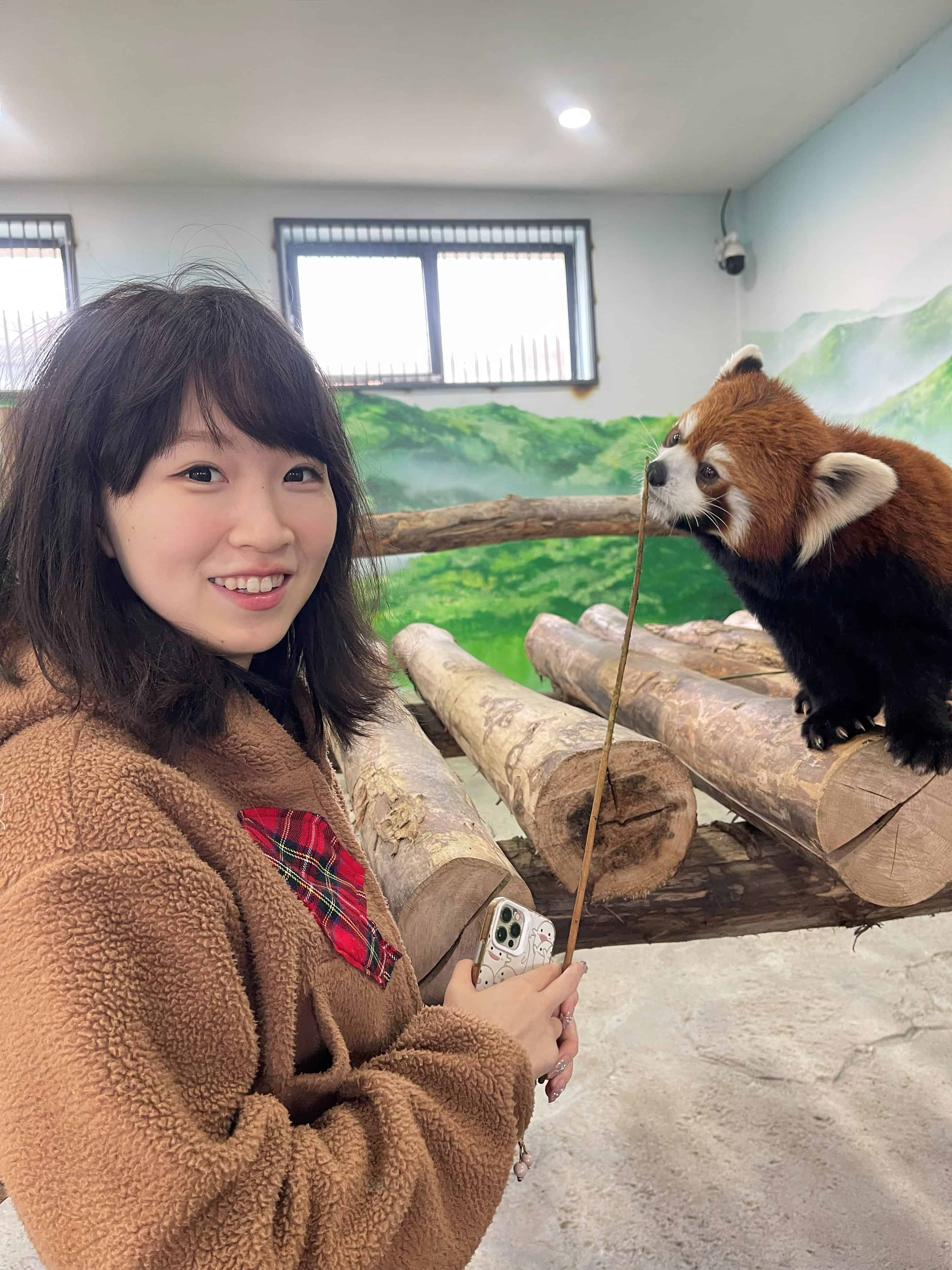 生活照：与小熊猫合影