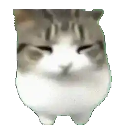 妙脆角小猫动态表情